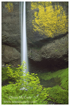 Latourell Falls, Coulumbia River Gorge, Oregon